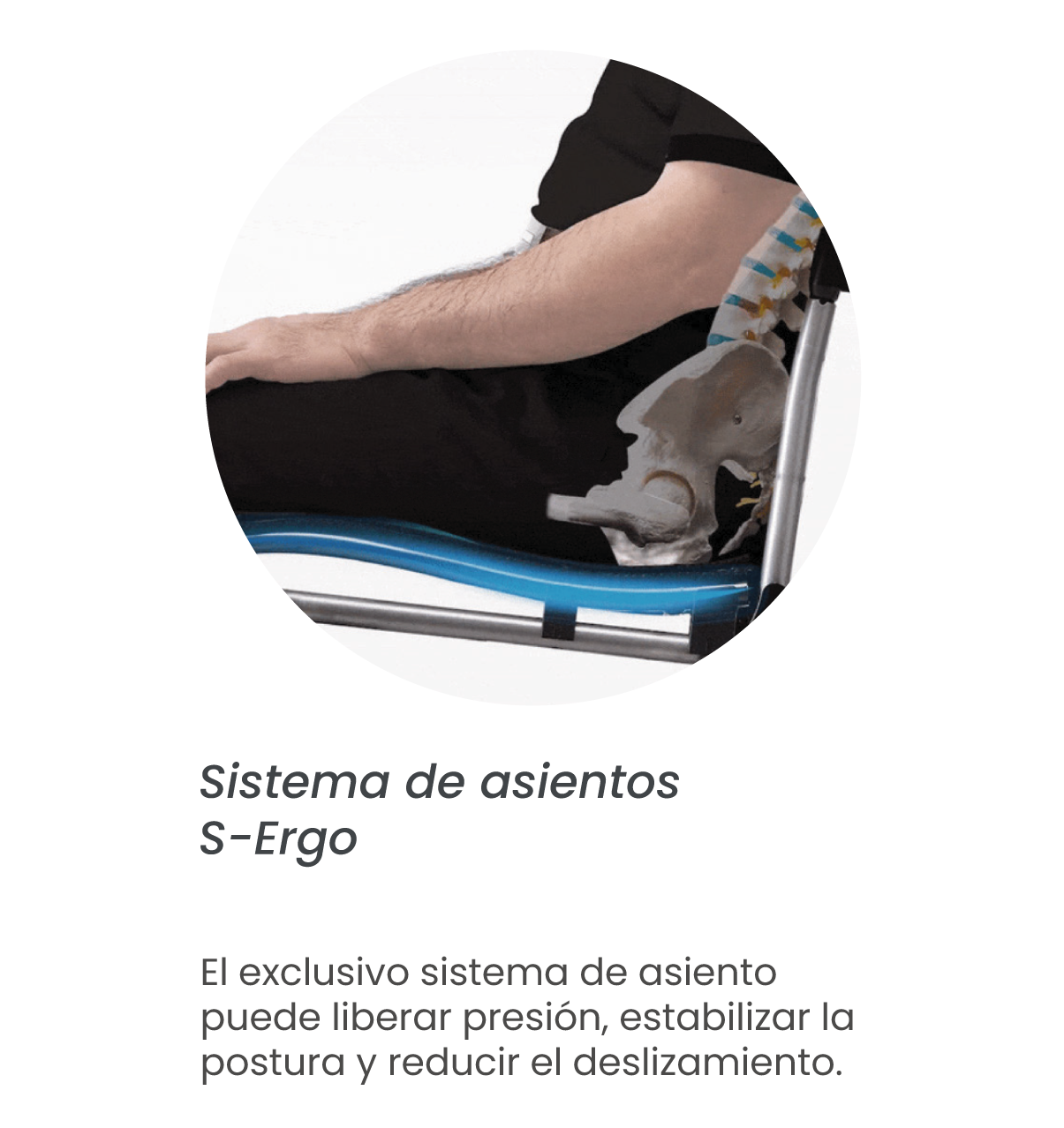 Ergo traveler_txt 1