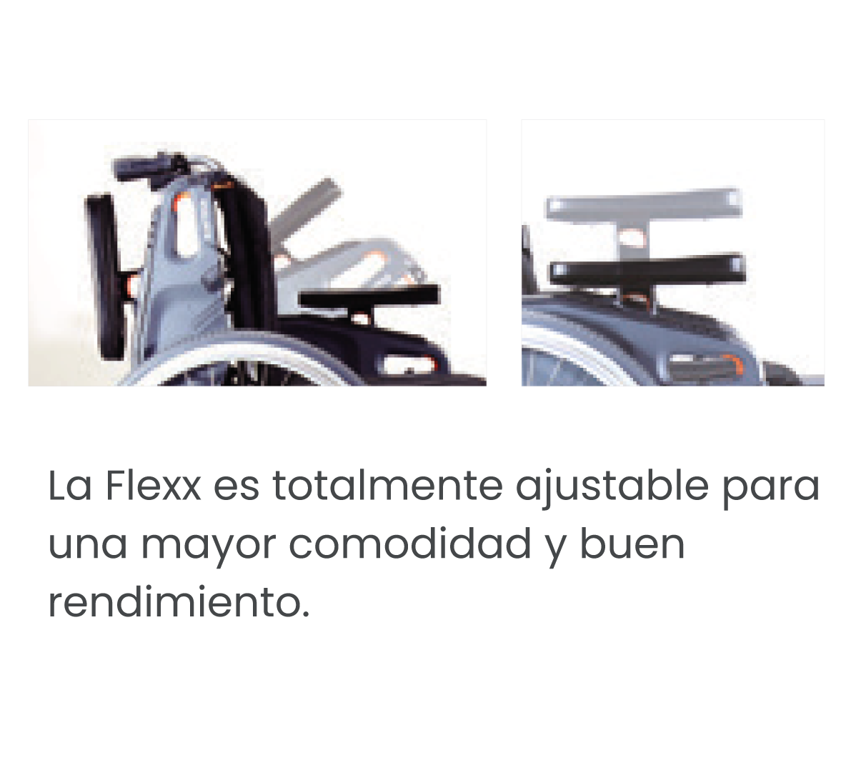 Flex_txt 1